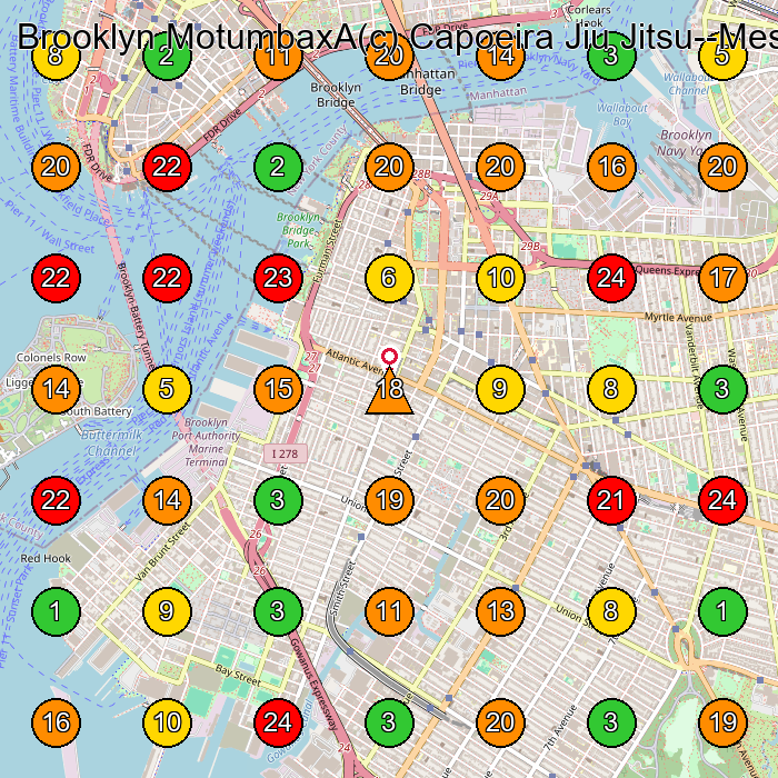 Brooklyn MotumbaxA(c) Capoeira Jiu Jitsu--Mestre LamprA(c)ia Martial Arts School GeoGrid ranking map for Brooklyn NY
